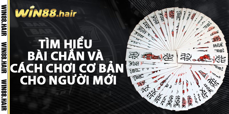 Tìm Hiểu Bài Chắn Và Cách Chơi Cơ Bản Cho Người Mới
